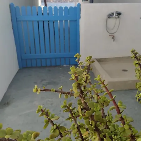 Apleton House At Zacharias