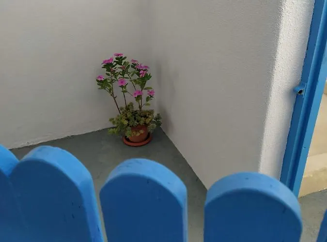 Apleton House At Zacharias