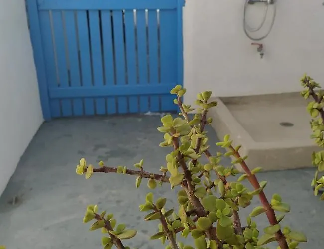 Apleton House At Zacharias